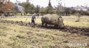 12bb87d85980d6016820e61c7192f694.gif
