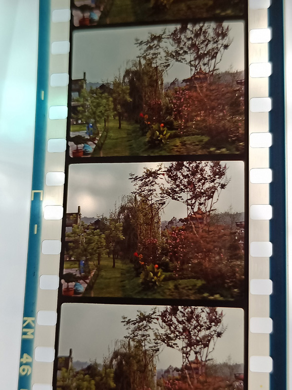 IMG20200831144111.jpg