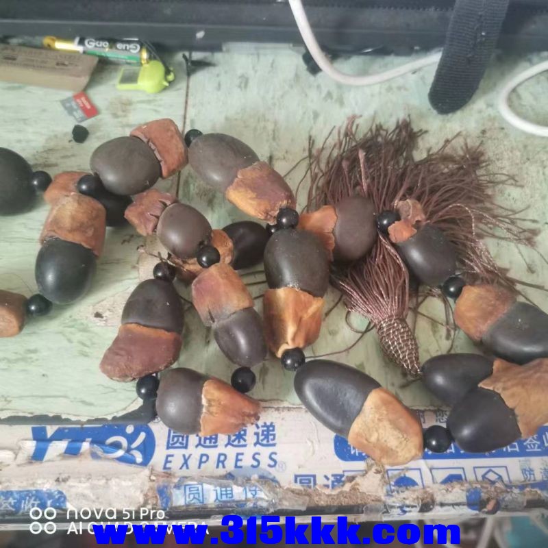 微信图片_20230806104957.jpg