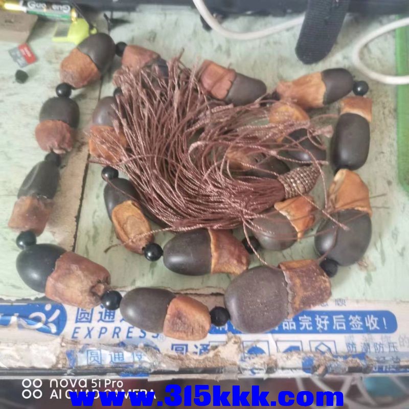 微信图片_20230806105001.jpg