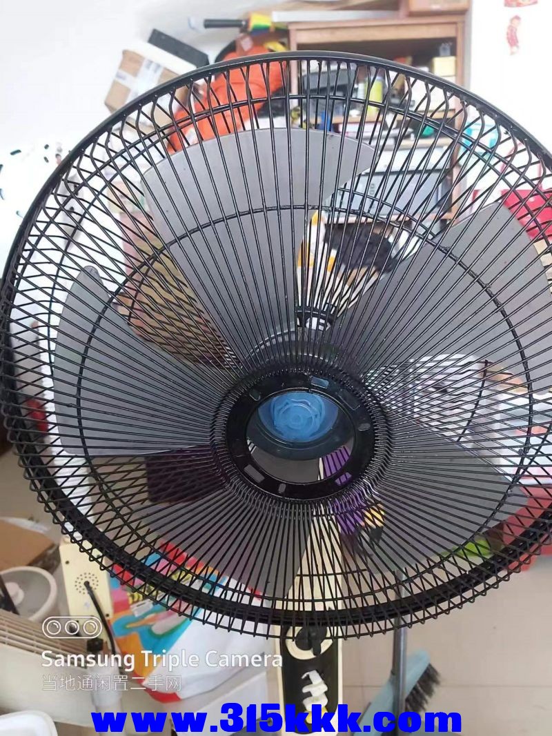 微信图片_202407180914551.jpg