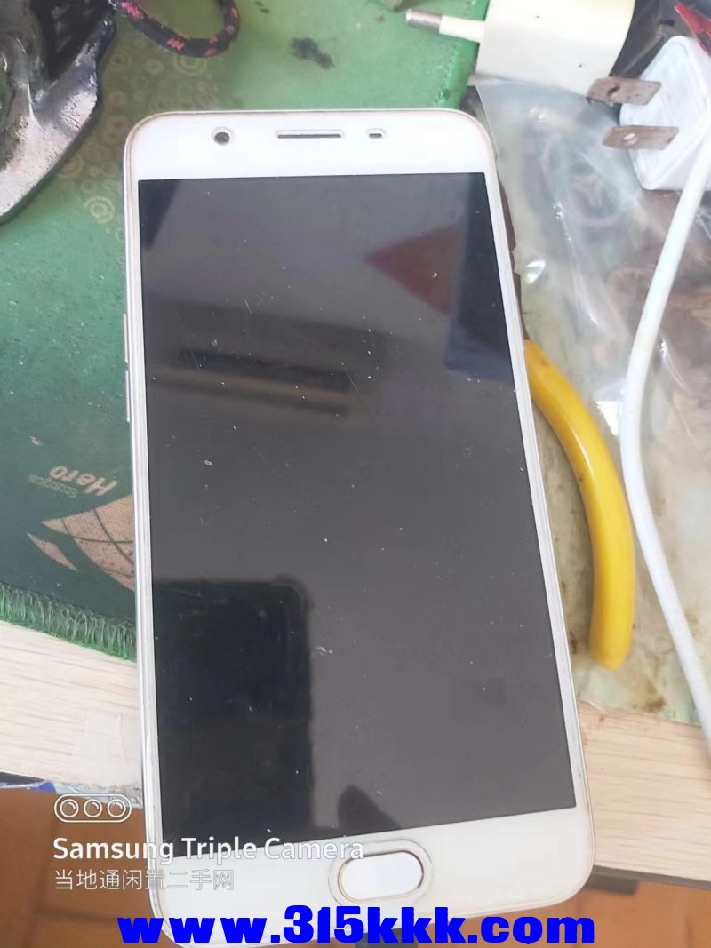 微信图片_20240725093059.jpg