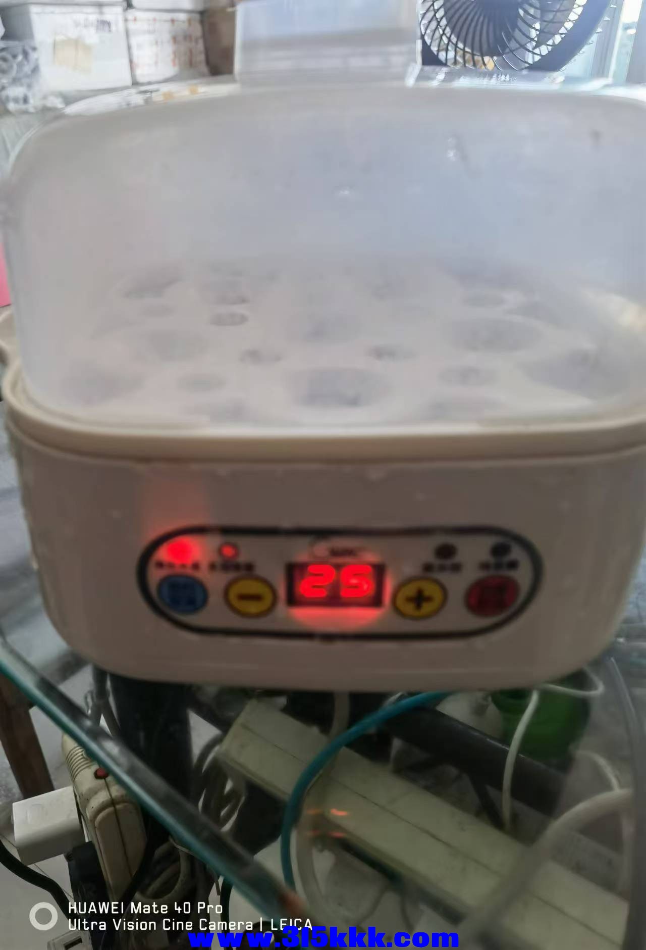 微信图片_20240901095907.jpg