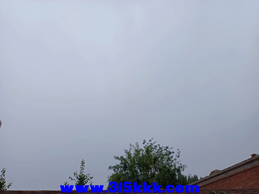 IMG_20240926_165109.jpg