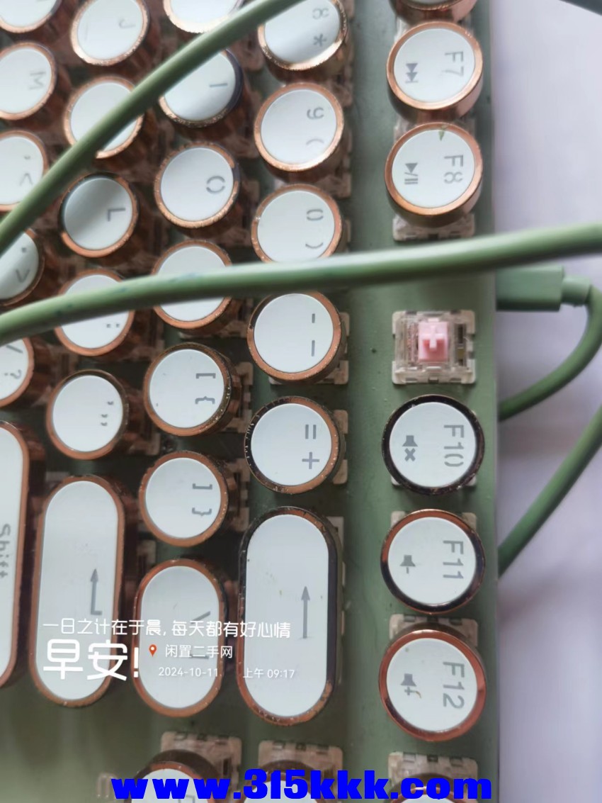 微信图片_202410110927001.jpg