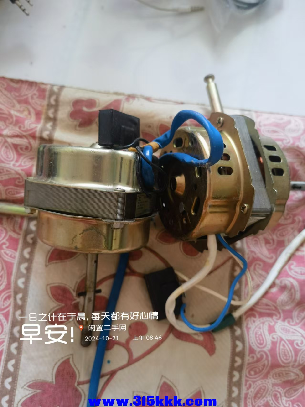微信图片_202410210857571.jpg