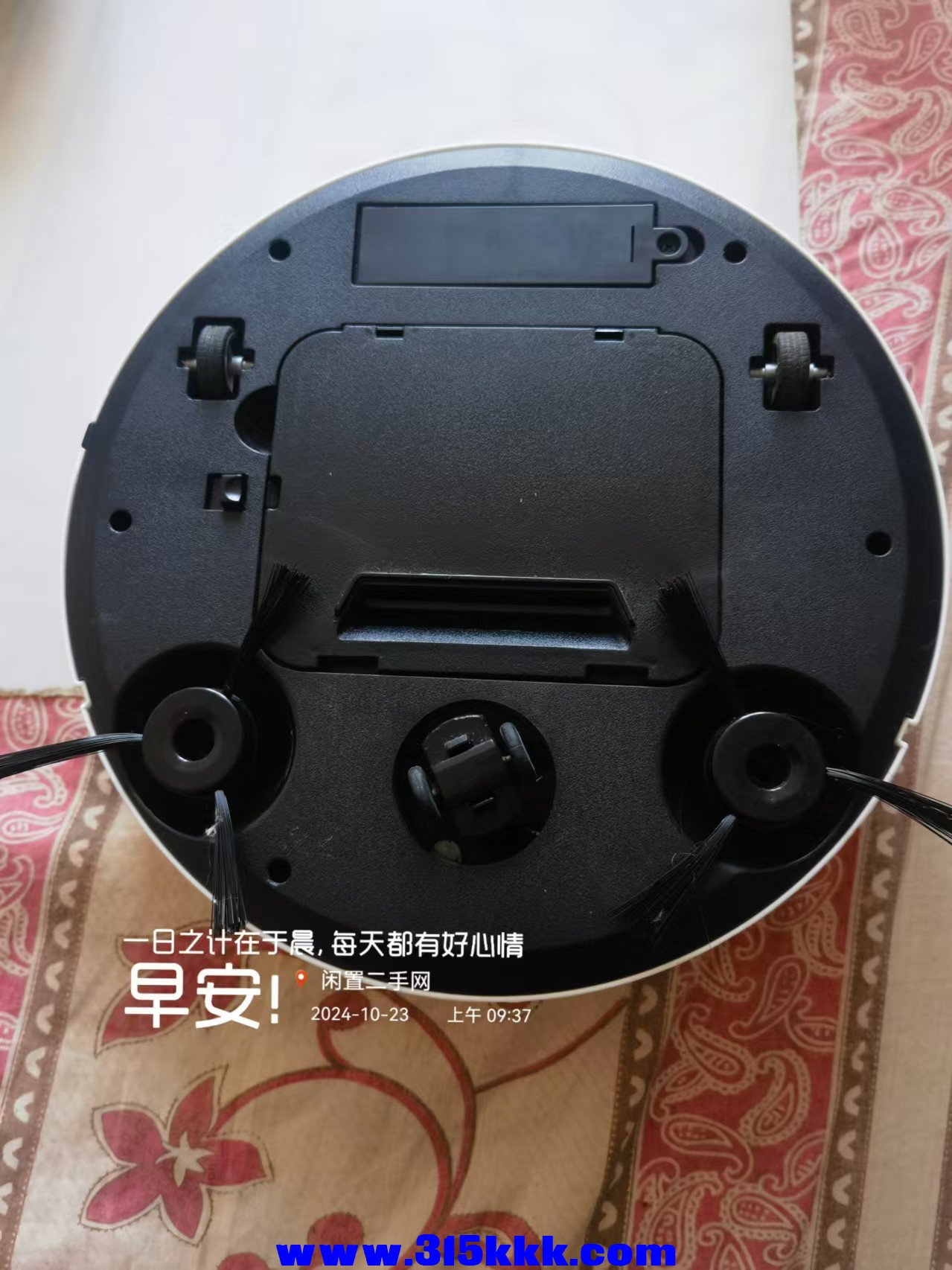 微信图片_202410230959371.jpg