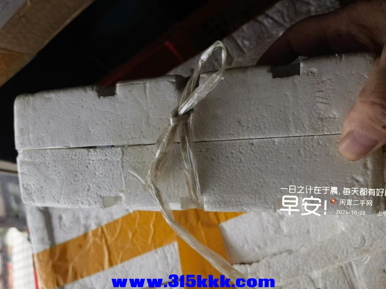微信图片_20241028085026.jpg