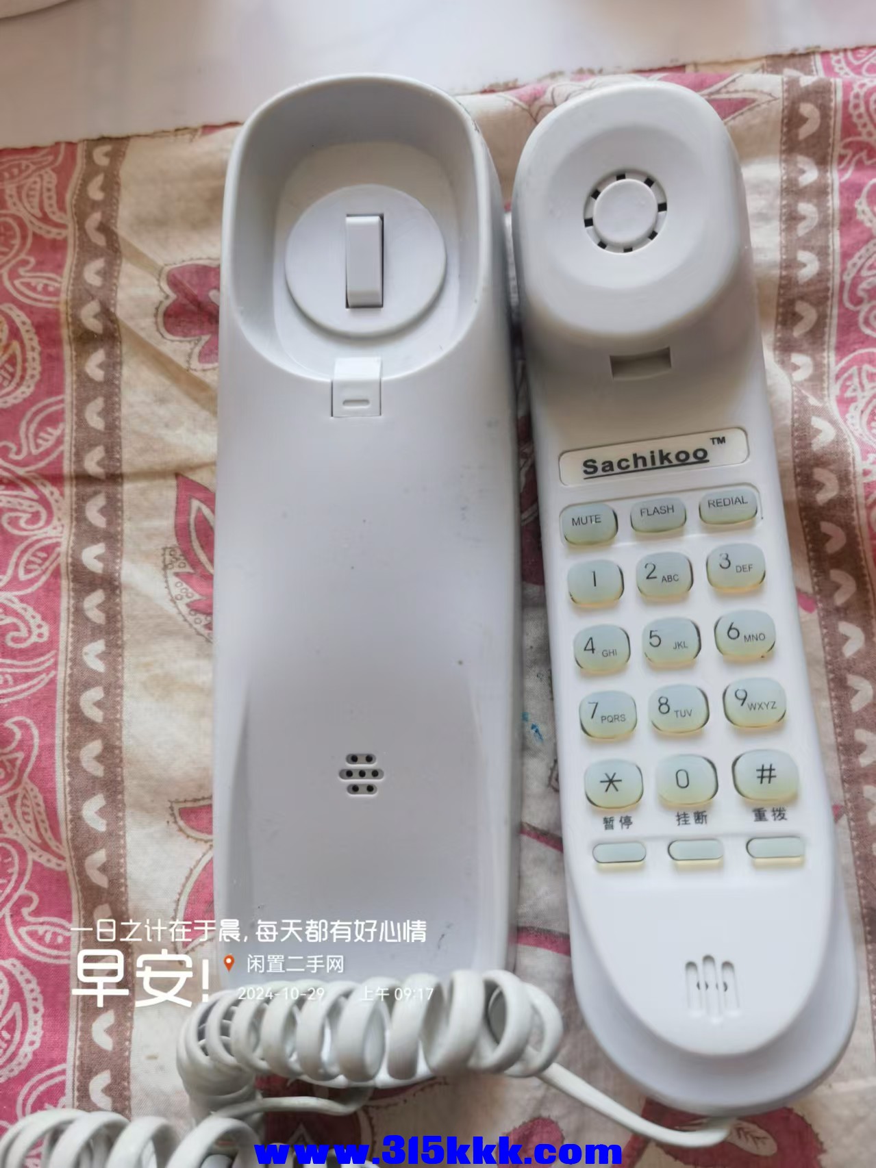 微信图片_202410290924251.jpg