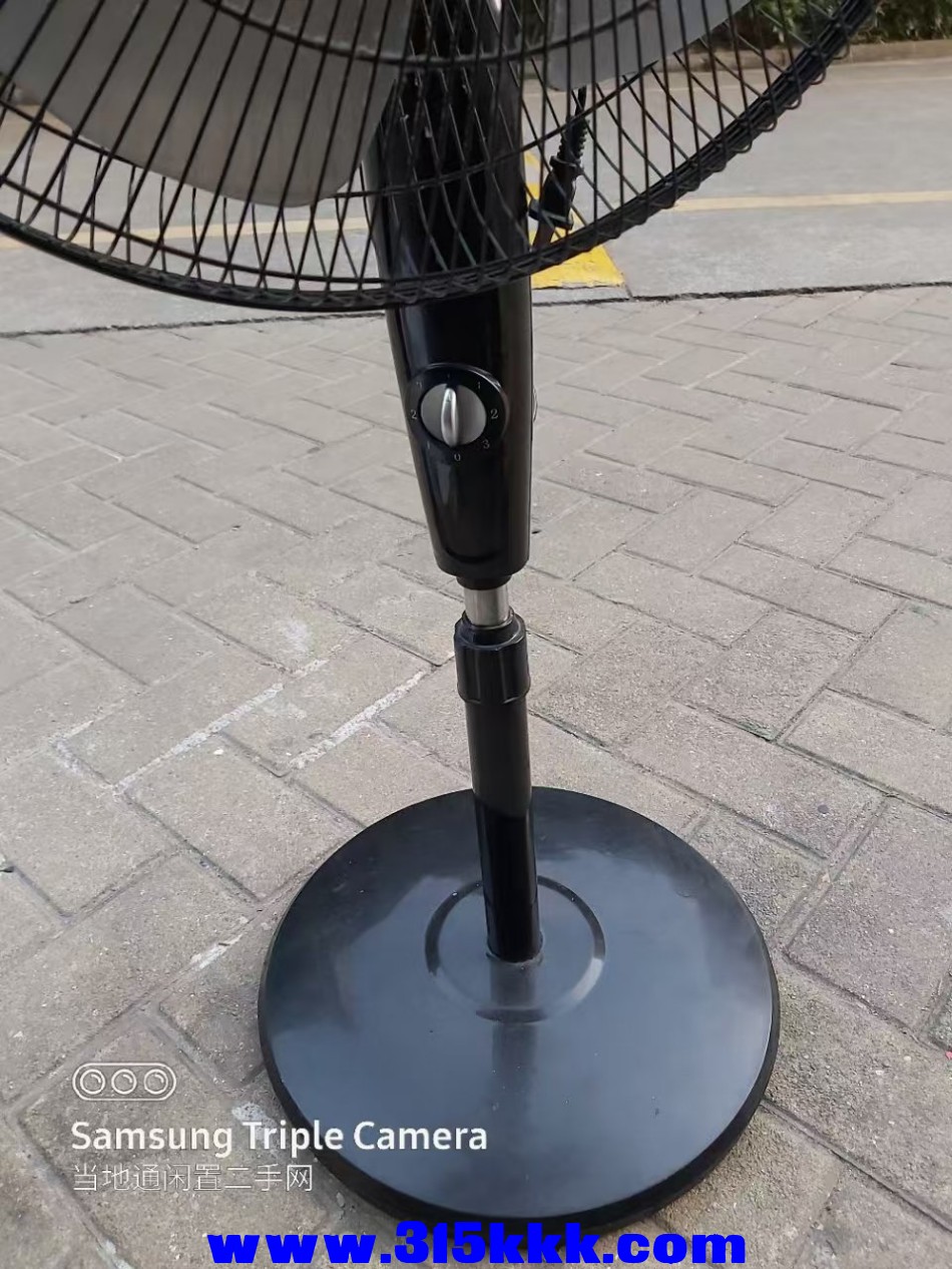 微信图片_202410310139231.jpg
