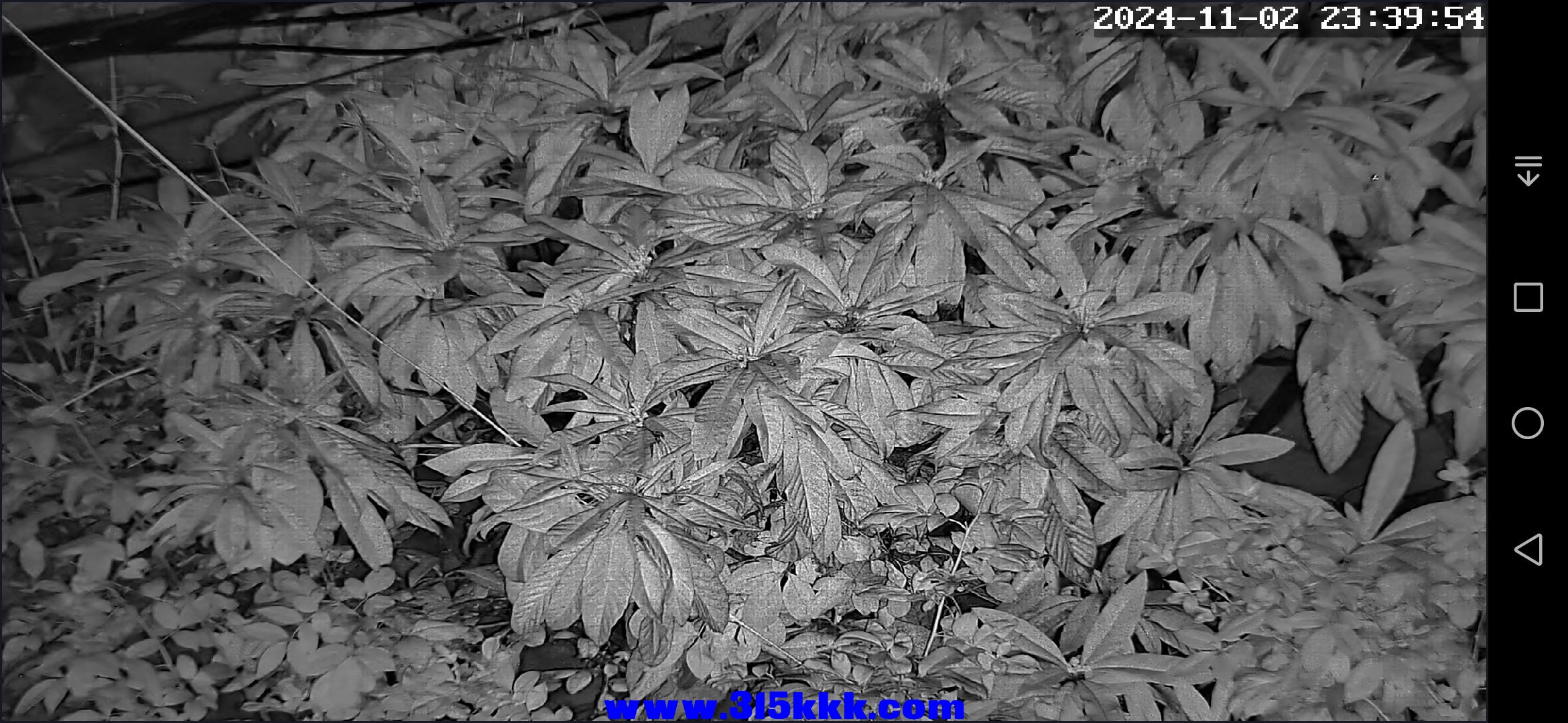 Screenshot_20241102_233956_com.zwcode.p6slite.jpg