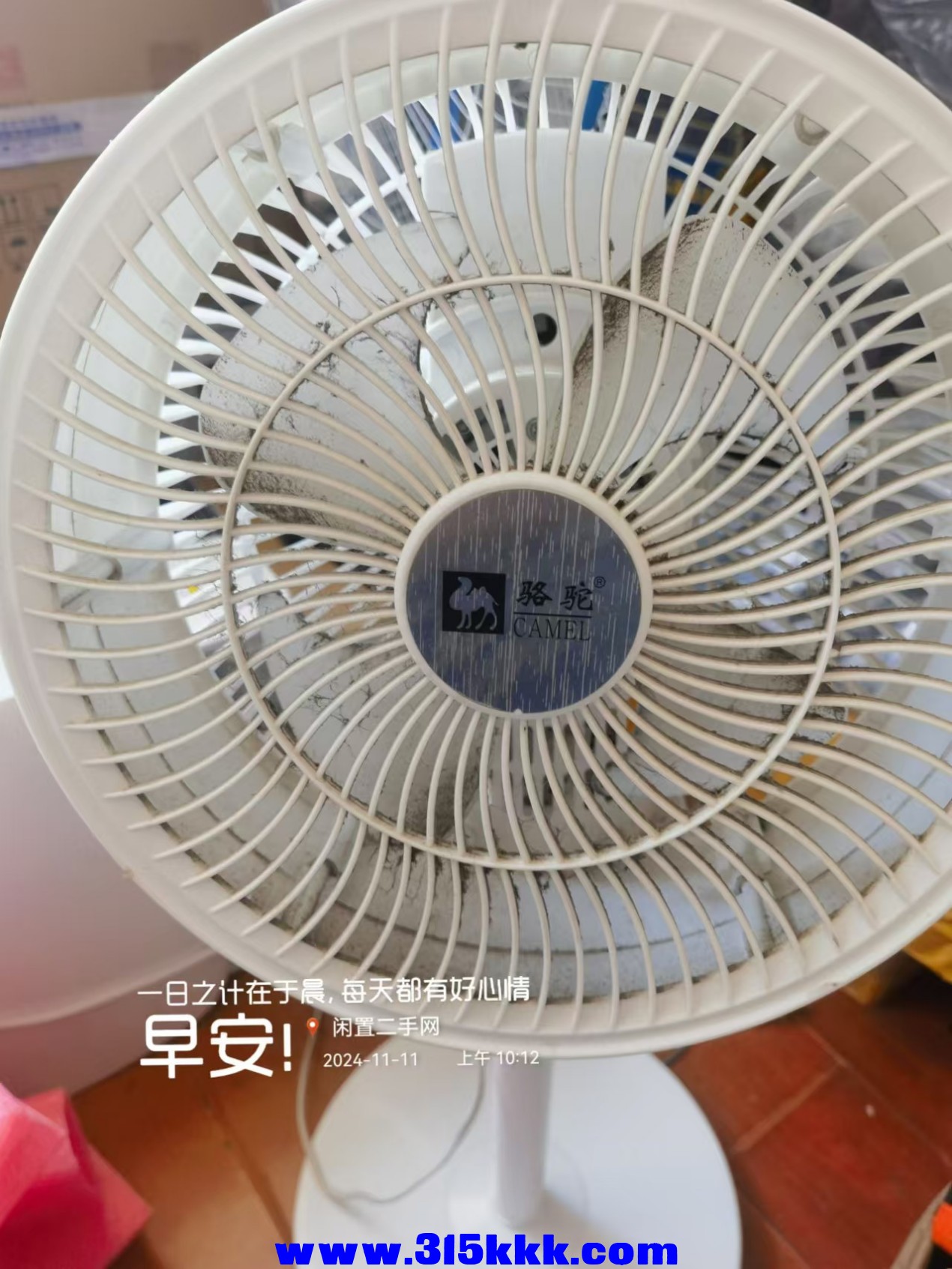 微信图片_202411111017271.jpg