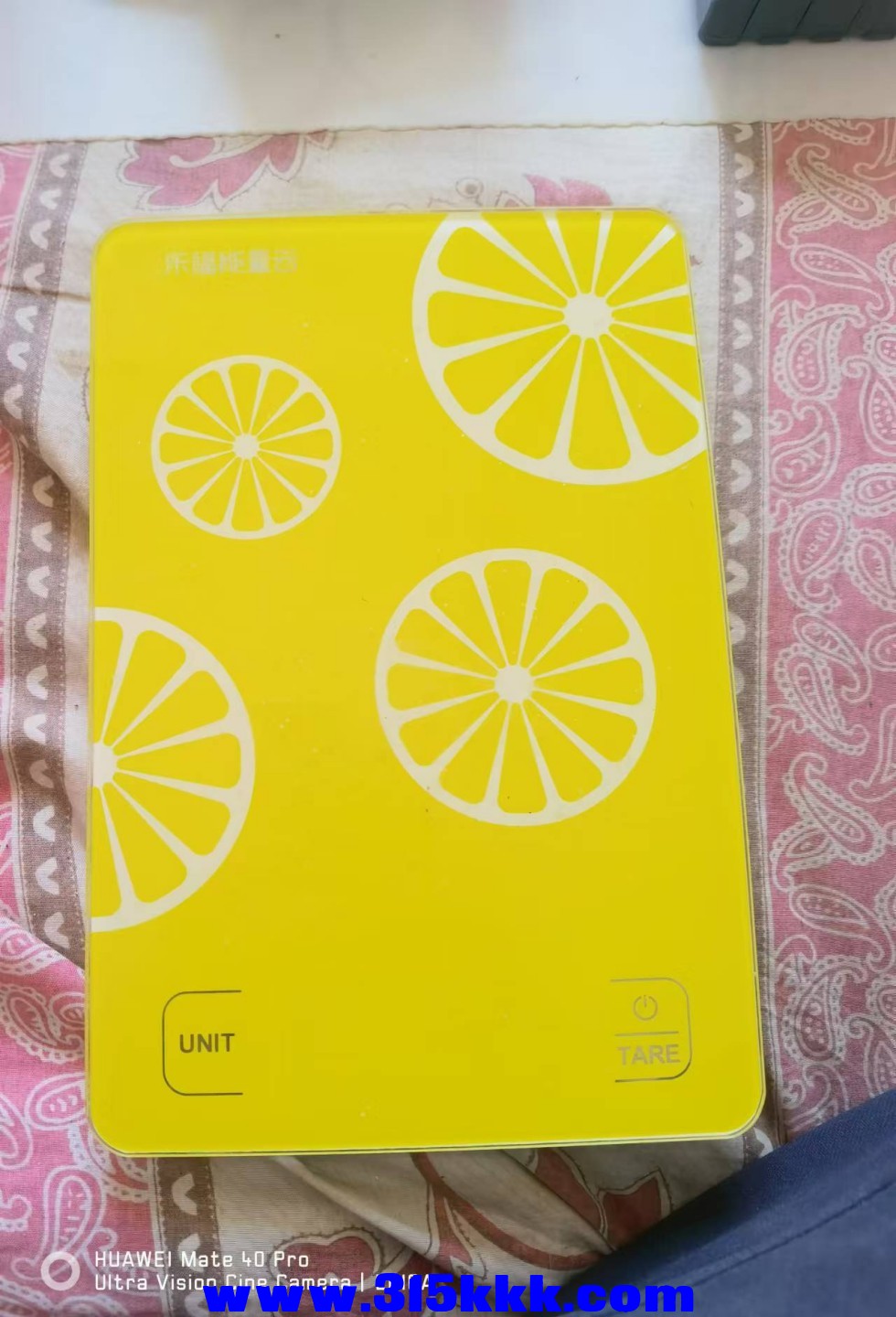 微信图片_20241213105122.jpg