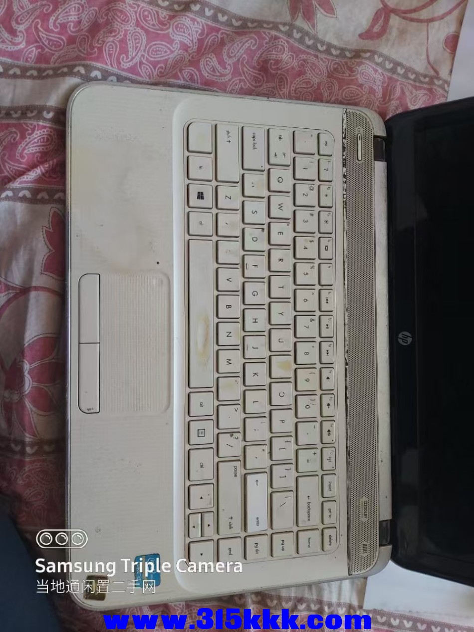 微信图片_20241228094143.jpg