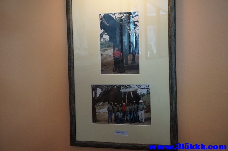 Edinburgh. 大象咖啡馆内“哈里波特”的作者在非洲肯尼亚.jpg