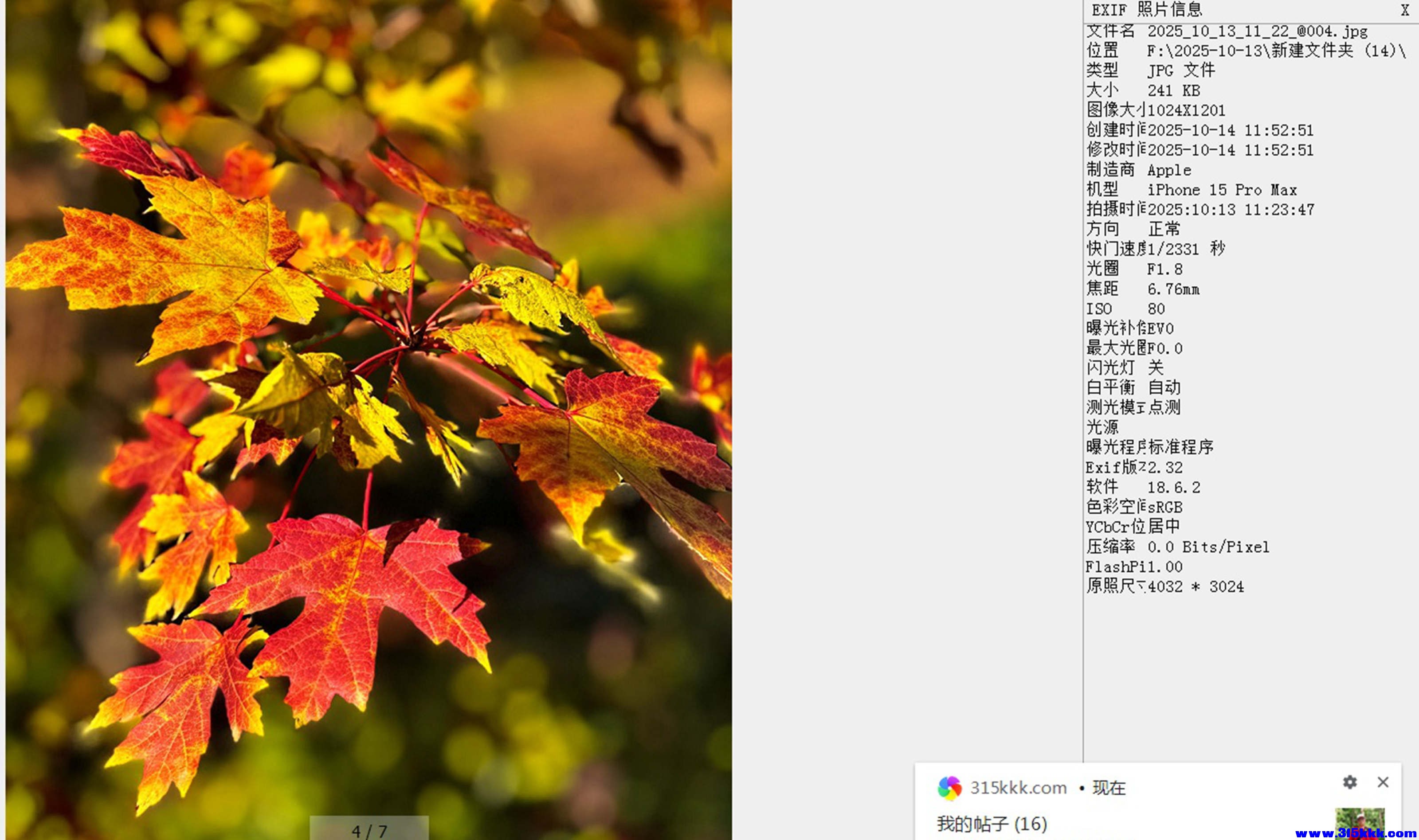 无标题12.jpg
