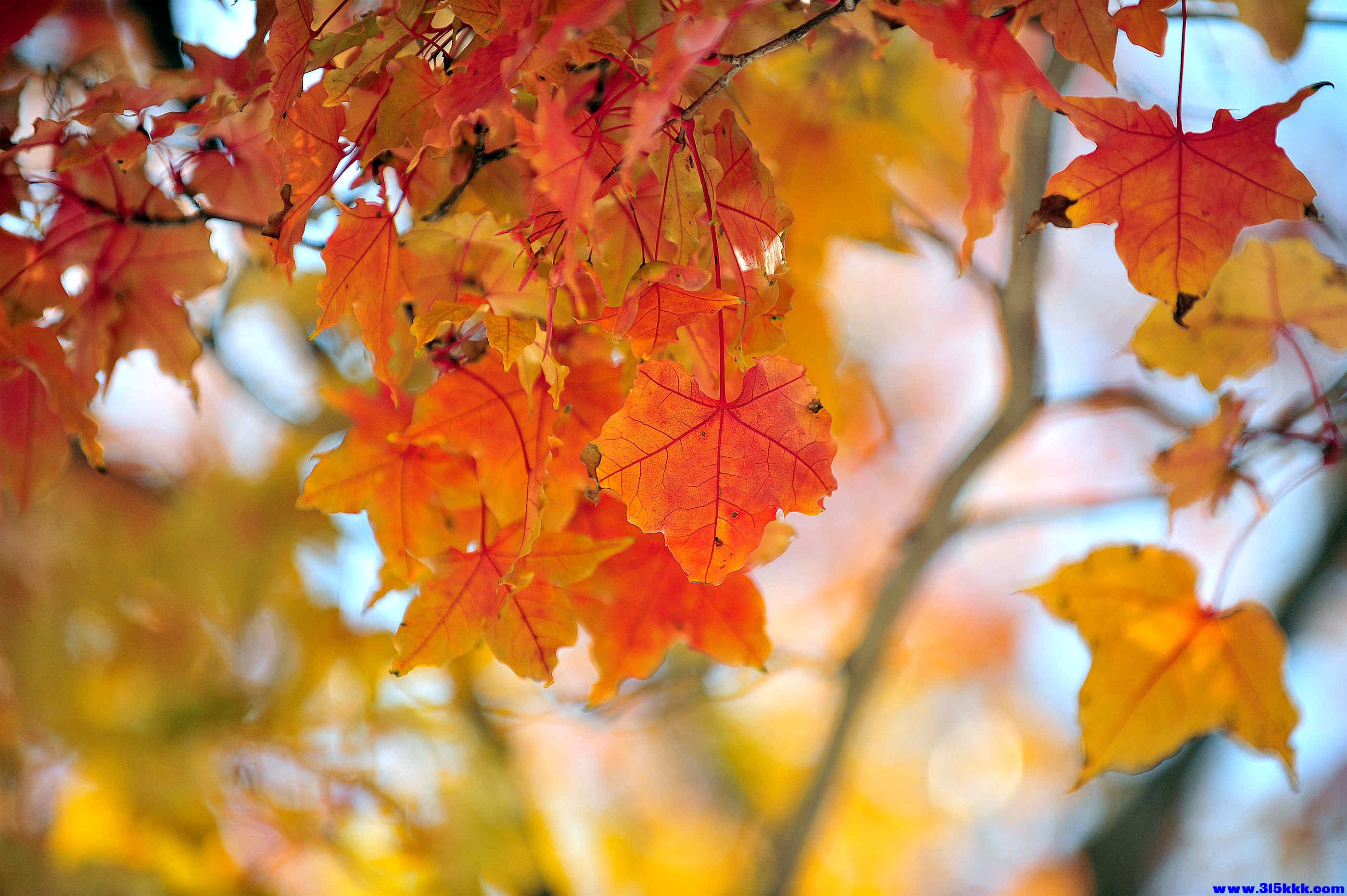 @0062025 11 3@006.jpg