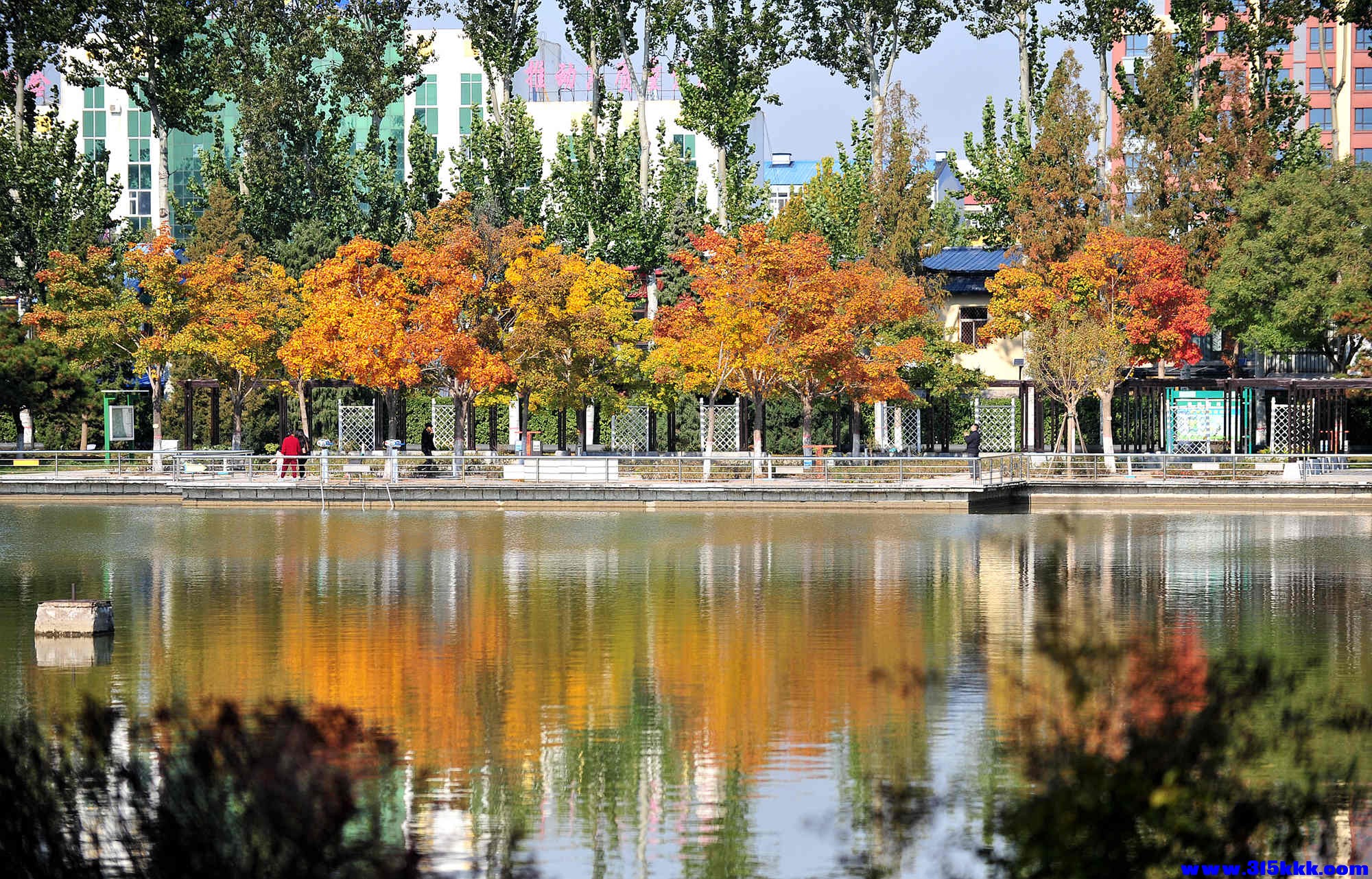 @0122025 11 3@012.jpg