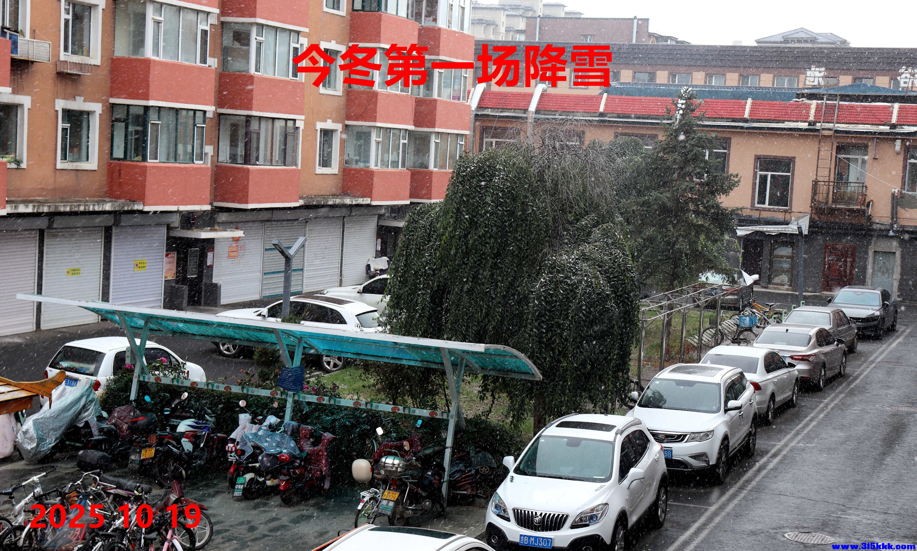 图一：初雪 10月19日