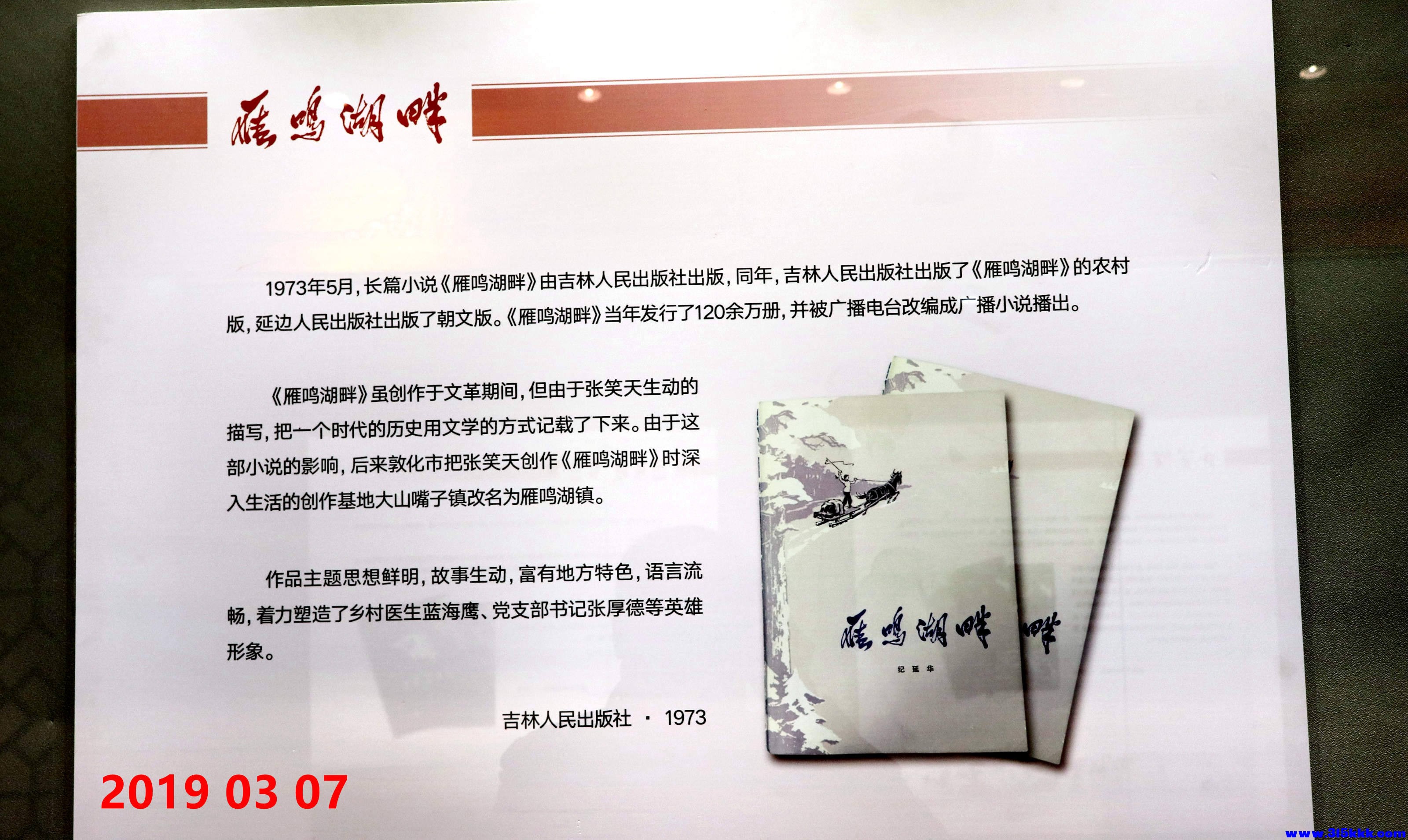 图三：小说《雁鸣湖畔》简介》